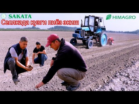 Видео: Пиёз экиш технологияси
