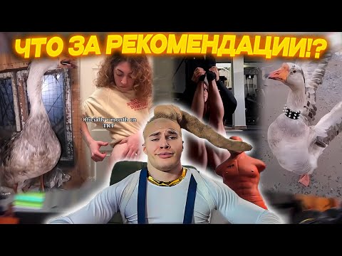 Видео: ДЕРЗКО69 ОРЁТ на ГУСЕЙ в ТИК-ТОКЕ | НОВЫЙ ТРЕНД | DERZKO69 СМОТРИТ ТИК ТОК | derzko69 лучшее