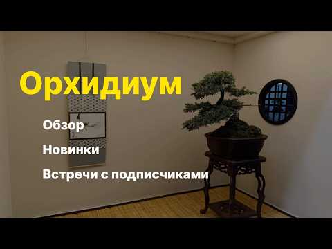 Видео: ОРХИДИУМ! / Последняя выставка в этом сезоне!