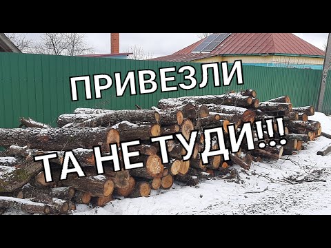 Видео: Вартість дров у 2024 році. Заготівля дров. Скільки треба дров на зиму.