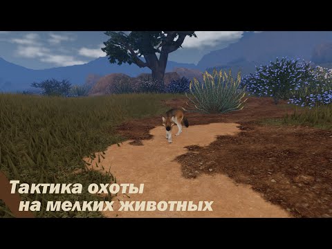Видео: Ecos: Охота на мелких животных | Ecos: La Brea