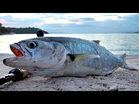 Видео: Албански лефери
