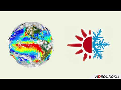 Видео: 24  Лесная и деревообрабатывающая промышленность