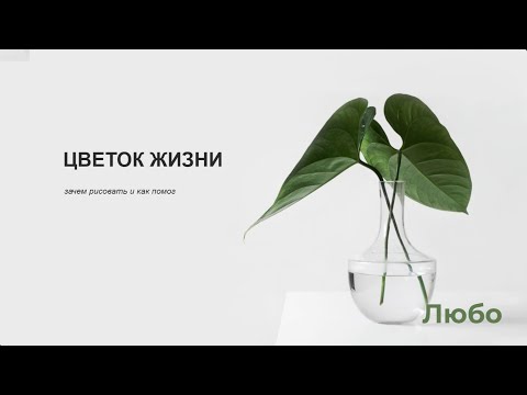 Видео: Цветок жизни|  как он мне помог и как рисовать