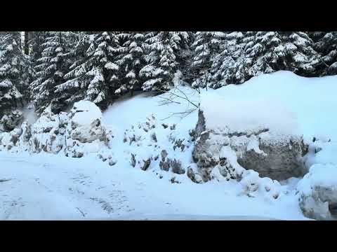 Видео: Спуск з Драгобрата на авто, зима 2024