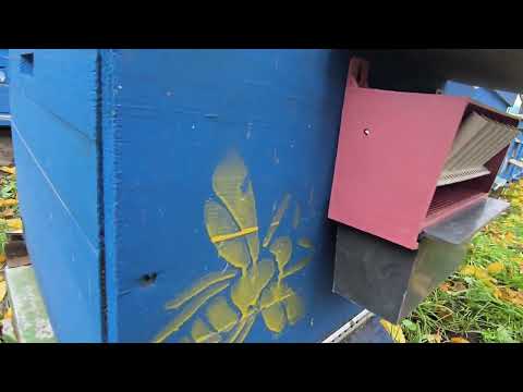 Видео: Будемо збирати пилок!Сушарка для пилку.🐝