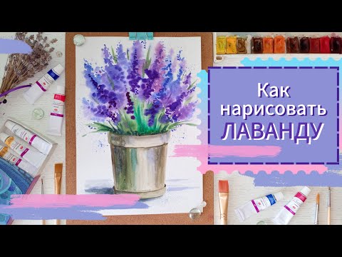 Видео: Как нарисовать ЛАВАНДУ / акварель #рисованиедляначинающих #drawing #sketch #скетчинг