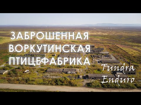 Видео: Заброшенная Воркутинская Птицефабрика