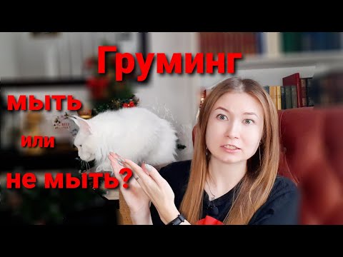Видео: Зачем вы моете кошек? Или ГРУМИНГ кошек