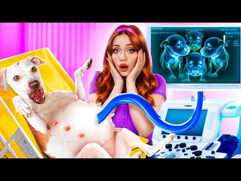 Видео: Моя говорящая собака! Везучая vs невезучая собака!