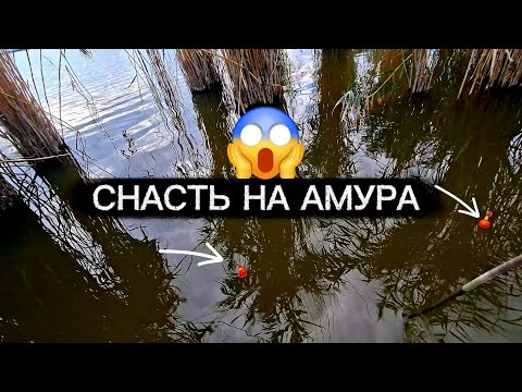 Видео: Секрет снасти, на которую клюёт только амур