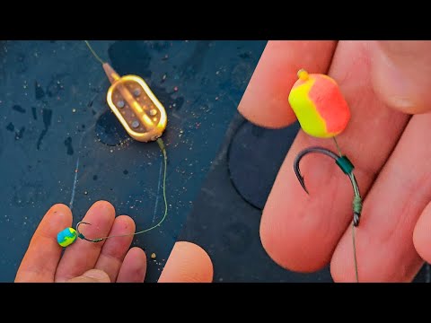 Видео: Рыбалка на карпа по холодной воде