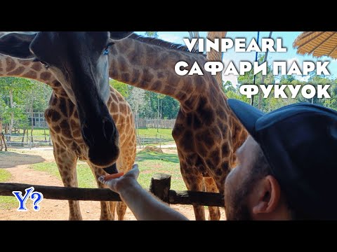Видео: Vinpearl Safari / Шикарный сафари-парк на Фукуоке