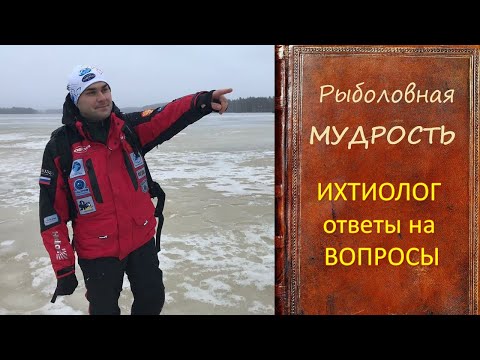 Видео: Интервью с ихтиологом, ответы на вопросы.