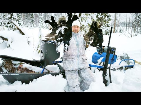 Видео: ОХОТА НА ТЕТЕРЕВА С ПЯТИЗАРЯДКОЙ АТА НЕО Х ЧЕТЫРЕ КОСАЧА С ОДНОГО МЕСТА / МОТОТОЛКАЧ АЛЬБАТРОС XL 9