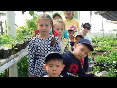 Видео: КГУ "Кийминская средняя школа имени К. Ш. Ускенбаева"