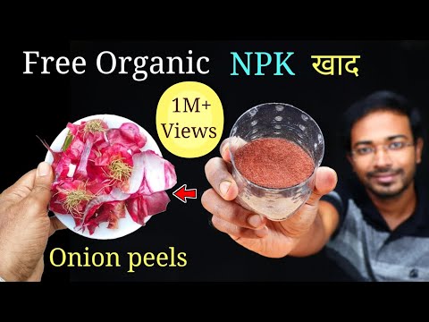 Видео: Как ЛЕГКО приготовить удобрение из луковой шелухи тремя разными способами