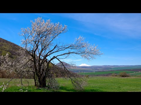 Видео: Юца, апрель 2023.