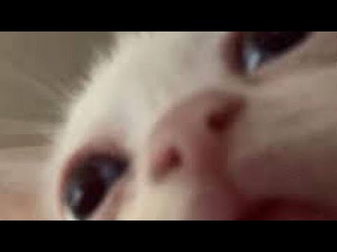 Видео: Как сделать шавит на скейте!!!