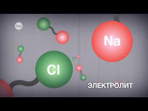 Видео: Электролиттер #электролиттер #бейэлектролит