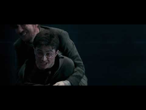 Видео: Гарри Поттер / Выбор есть