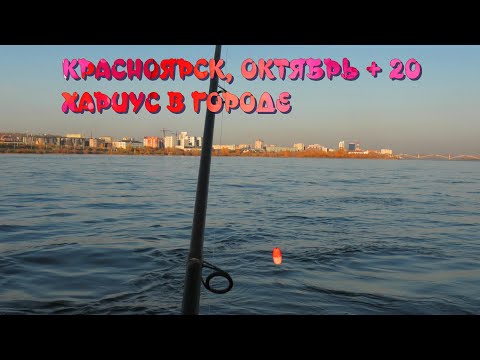 Видео: КРАСНОЯРСК | ОКТЯБРЬ + 20 ХАРИУС В ГОРОДЕ