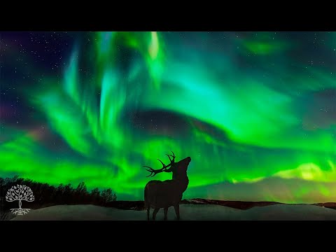 Видео: Заснуть быстро ★ Исцеление при тревожных расстройствах, депрессия ★ Забудьте негативные мысли