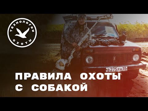 Видео: Правила охоты с собакой