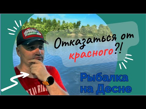 Видео: Нежданные гости. Рыбалка в Погребах, Десна