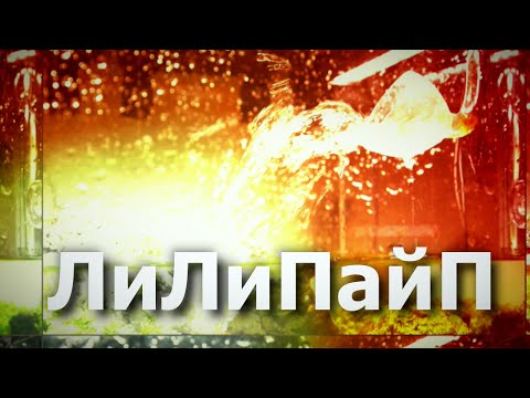 Видео: Лилипайпы в аквариуме. Хочу, что аж дымится!