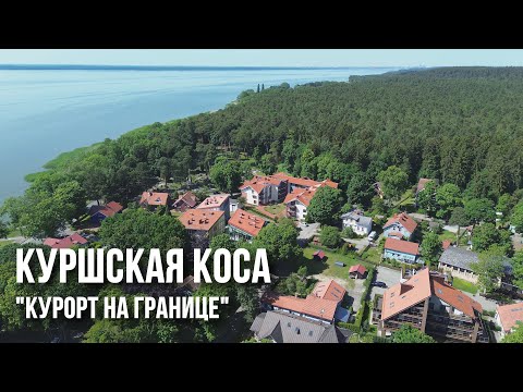 Видео: Нида, Куршская коса: языческие крикшты, лес цапель, мёртвые дюны и ловцы ворон - курорт по-литовски
