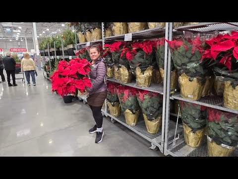 Видео: ПОКУПКИ ДЛЯ ПРАЗДНИКА. МАГАЗИН КОСТКО. 