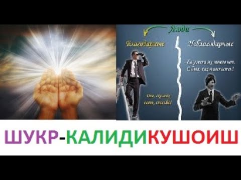 Видео: #ШУКР_КАЛИДИ_КУШОИШИ_КОР# доктор МАХМУД КАБИР