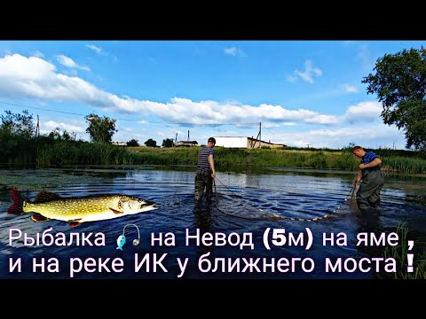 Видео: Рыбалка 🎣 на Невод (5м) на яме , в поле и на реке Ик у ближнего моста ! Нормальный Улов !