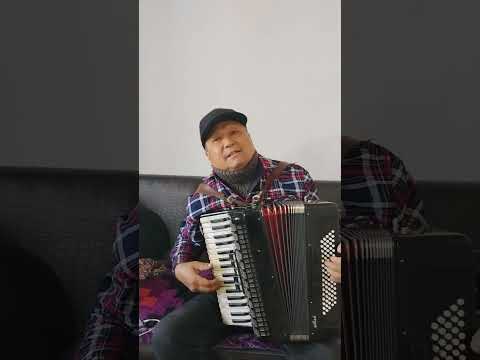 Видео: Динара Акулова - Ай кызым (cover)