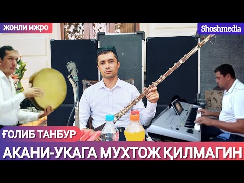 Видео: Ғолиб танбур "Акани-укага мухтож қилмагин Аллоҳ жонли ижро