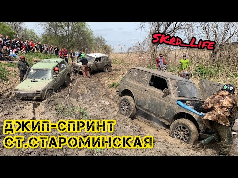 Видео: #SKrdLife джип-спринт ст.Староминская. Злой замес во всех категориях. Дебют «Симбы».