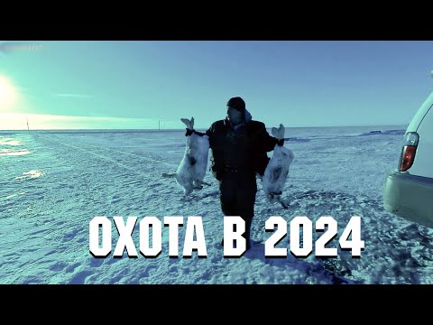 Видео: ОХОТА НА КРУПНЫХ ЗАЙЦЕВ