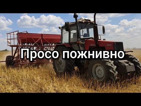 Видео: Посев просо пожнивно анкерная vs дисковая сеялка