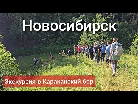 Видео: СБЕЖАЛИ ИЗ ПЫЛЬНОГО ГОРОДА (в папоротники Караканского бора)
