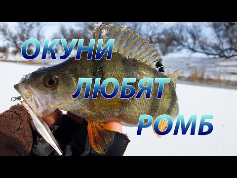 Видео: Зимняя блесна Ромб. Окунь оценил на вкус её!!! Отличная блесна!