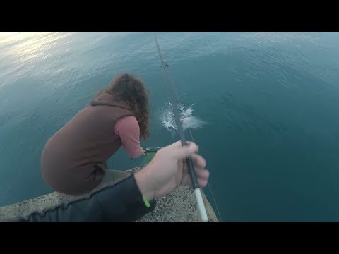 Видео: Ноемврийски лефери