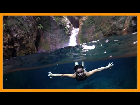 Видео: Чистейший водопад и дельфины в океане, продолжение путешествия по Филиппинам с подписчиками.