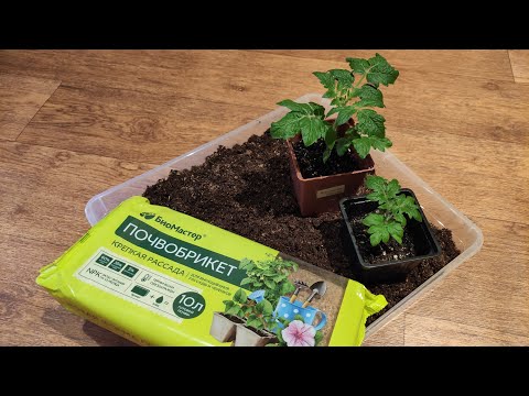 Видео: Тестируем почвогрунт в БРИКЕТАХ и удобрение из ФиксПрайса: обзор состава,фракции,процесс замешивания