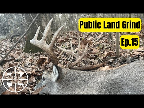 Видео: Арбалетная охота на общественных землях Арканзаса