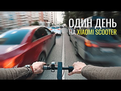 Видео: Целый День на Электросамокате Xiaomi