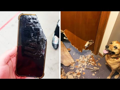 Видео: Фото, которые тебя удивят (часть 129)