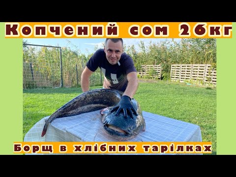 Видео: Закоптили сома 26 кг // борщ в хлібних тарілках // дорожки для високих гряд