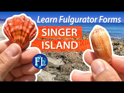 Видео: Обстрел скал Макартура на острове Сингер