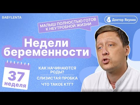 Видео: 37 неделя Беременности  - как начинаются Роды? Все отвечты от доктора #беременность #недели
